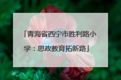 青海省西宁市胜利路小学：思政教育拓新路